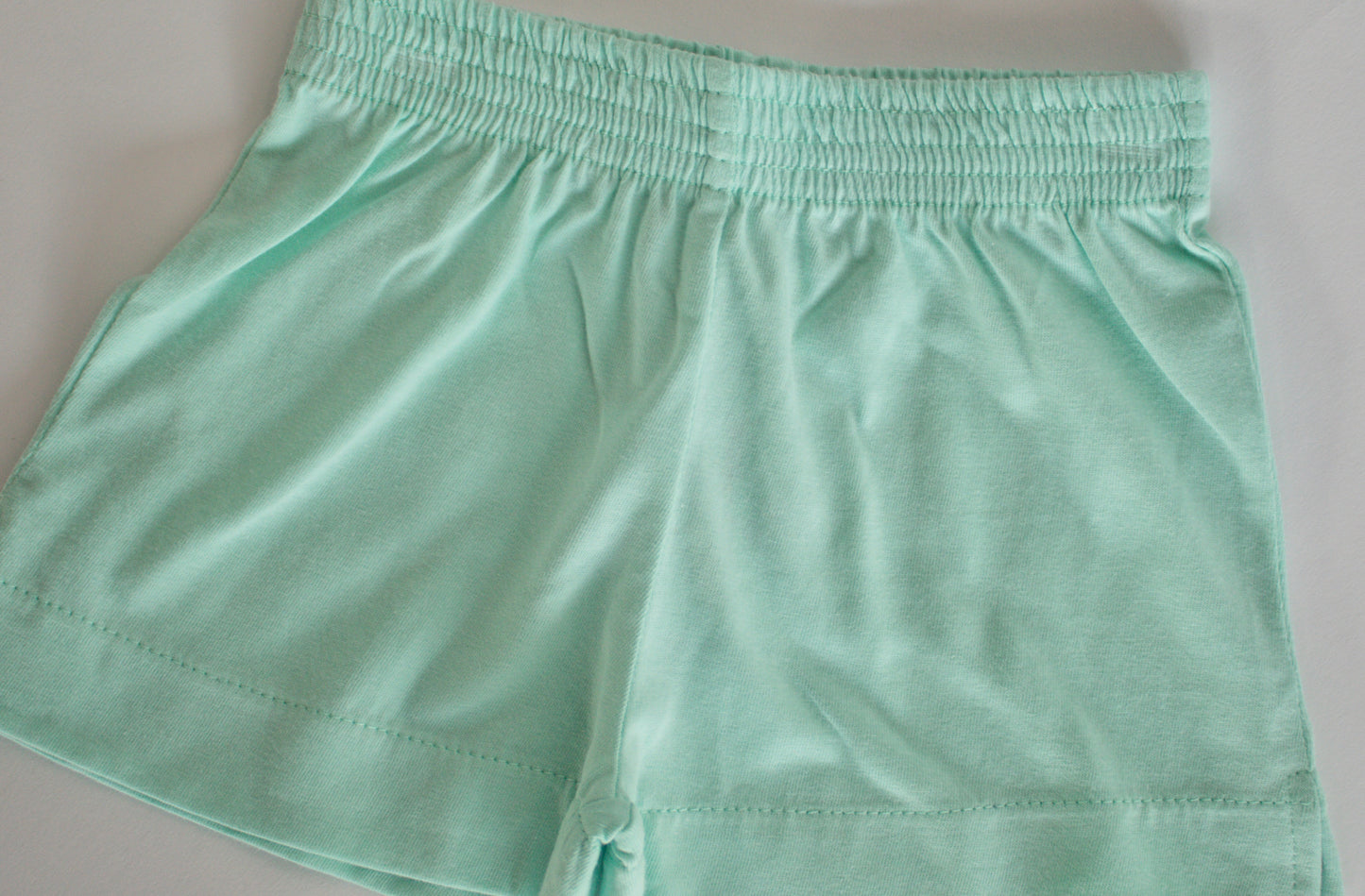 Luigi- Aqua Shorts