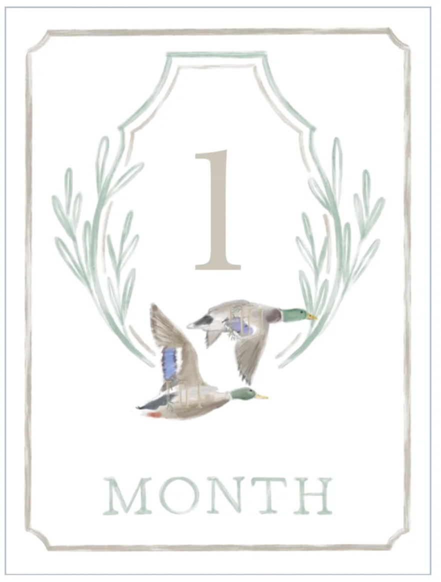Flyin' South Milestone Cards Crest